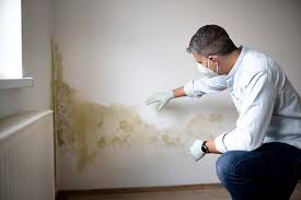 Best Residential Mold Inspection & Testing  in Raymond, IL